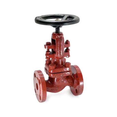 Sant Valves Cast Steel Globe Valve