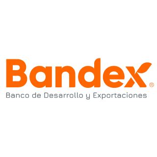 Bandex Rexi