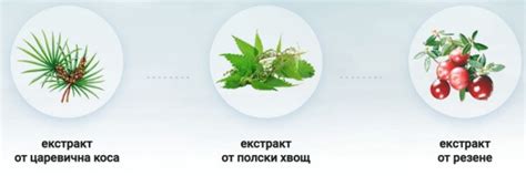 Urofertil –Сироп за Нормално Уриниране | Мнения и Цена?