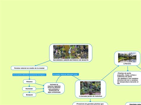 Recorrido Jard N Nico De Bogot Mind Map