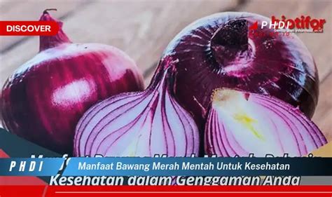 Temukan 7 Manfaat Bawang Merah Mentah Untuk Kesehatan Yang Wajib Kamu Intip