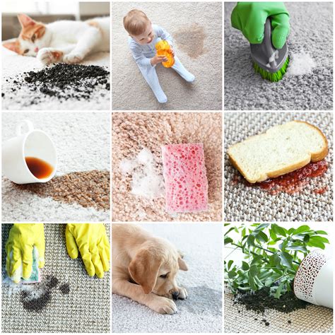 4 Common Summer Carpet Stains and How to Treat Them - E&B Carpet Cleaning