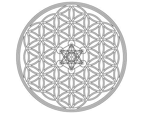 Flower Of Life With Metatrons Cube SVG Sacred Geometry SVG Flower Of