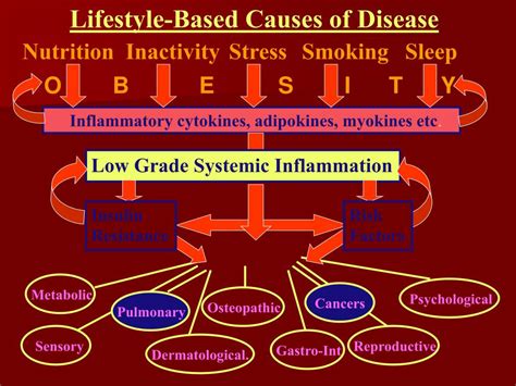 Ppt Syndrome X Insulin Resistance Metabolic Syndrome Powerpoint