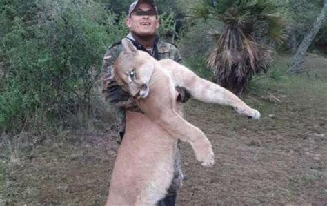 Detuvieron al cazador que mató a un puma y subió las fotos a las redes