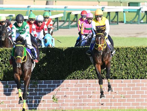 【中山大障害】ニシノデイジーが障害入り4戦目で新王者に ラストランのオジュウチョウサンは6着 競馬ニュース