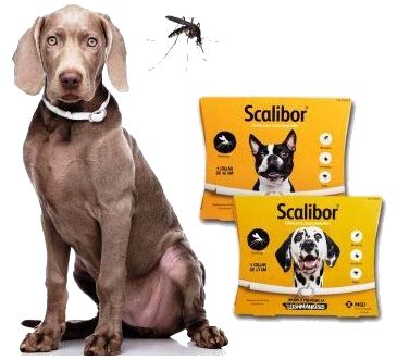 SCALIBOR Collar Antiparasitario Para Perros Petslovers Es Medidas 48cm