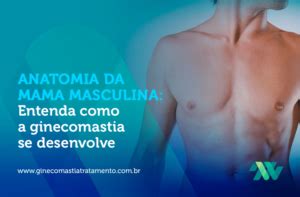 Anatomia Da Mama Masculina Entenda Como A Ginecomastia Se Desenvolve