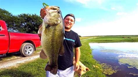 Catching GIANT Bass On Topwater Frogs