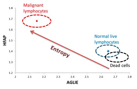 Entropy Free Full Text Fluctuation Of Information Entropy Measures