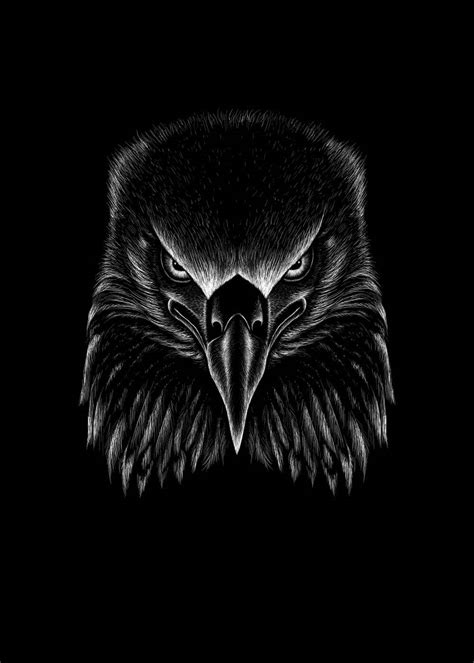 Black Eagle Hd Wallpaper