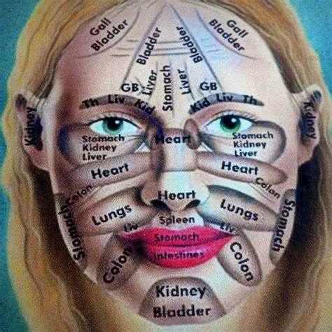 Face Reflexology Chart Refleksoloji