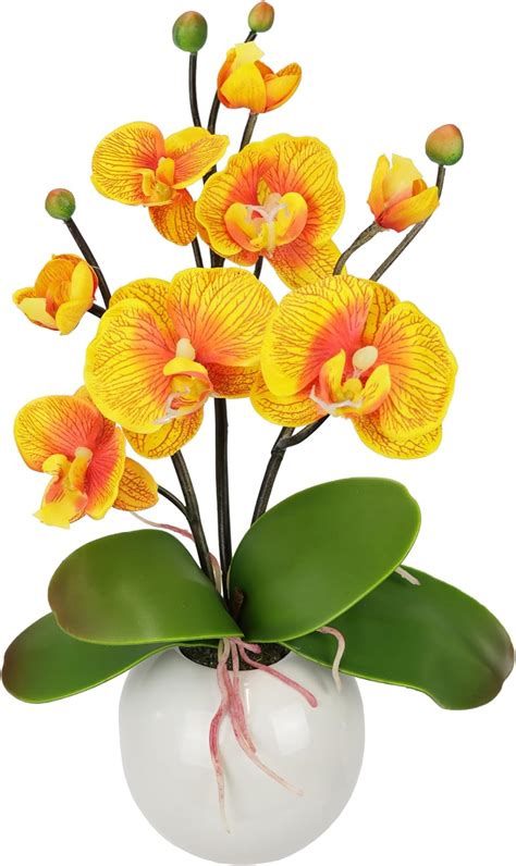 Amazon De K Nstliche Orchidee In Schale Kunstblume Blume Kunstorchidee