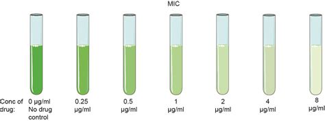 Minimum Inhibitory Concentration Mic Assay Creative Diagnostics