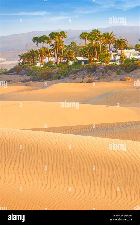 Canary Islands Gran Canaria Maspalomas Sand Dunes National Park