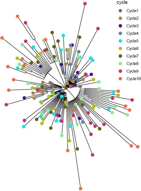 Minimum Spanning Tree Of WgMLST Analysis Of S Mbandaka Each Circle