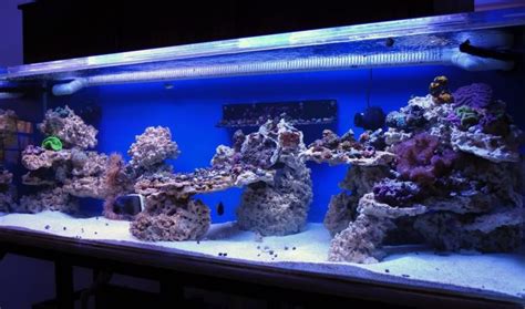 How To Drill Live Rock For Your Saltwater Aquarium