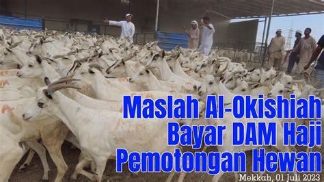 MASLAH AL OKISHIAH PEMOTONGAN HEWAN DAM HAJI YouTube