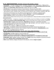 Neur 335 Cheat Sheet Docx Ch 22 BRAIN DEVELOPMENT Formation