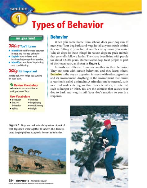 SOLUTION: Types of behaviour - Studypool
