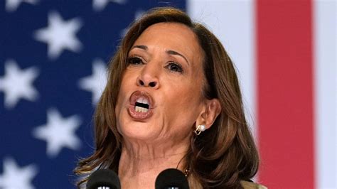 Blue Wall Eroding Former Clinton Pollster After Kamala S Fox News