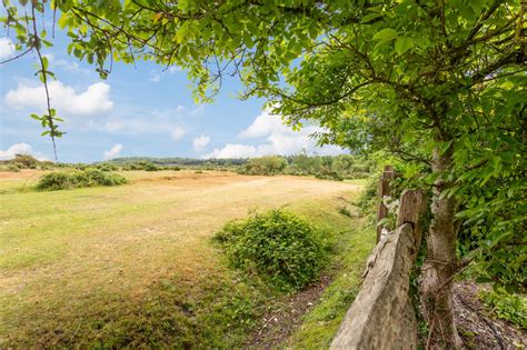 Old Farm Cottage Pilley New Forest Cottages