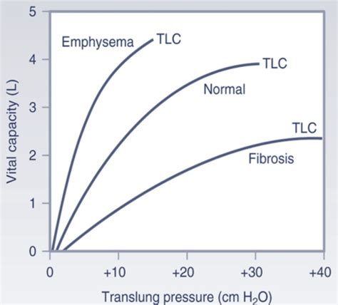 Pulmonary Physiology Mechanics I Properties Of The Lung Chest Wall