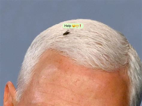 Twitter Reacts To Fly Landing on Mike Pence, Dubbing Him Lord of the Flies