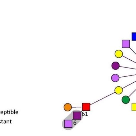 Minimum Spanning Tree Of WgMLST Results Of 26 K Pneumoniae Isolates