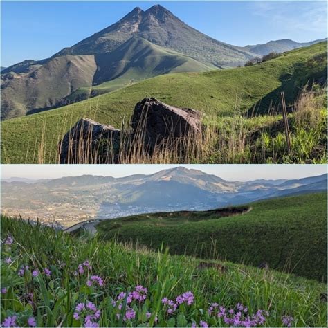 湯布院＆九重界隈花散歩・・・その1。 そうだ！山に登ろう