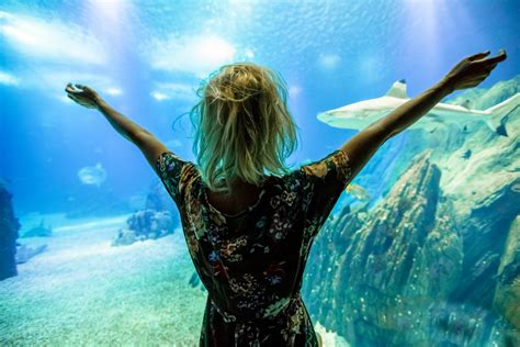 A Day at the Lisbon Oceanarium: A Window into the World's Oceans - The ...