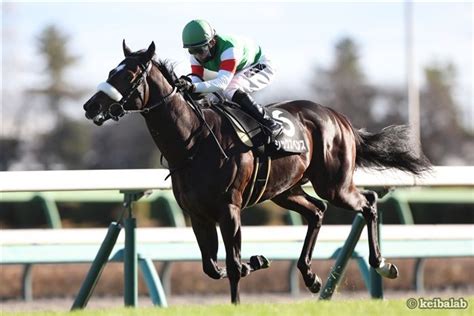 【スプリングs】3連勝で重賞制覇へ！指揮官が語るシックスペンスの手応え 競馬ニュース 競馬ラボ