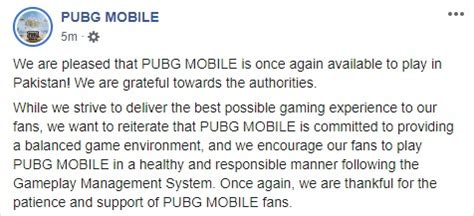 Pubg Unbanned In Pakistan Pta Incpak