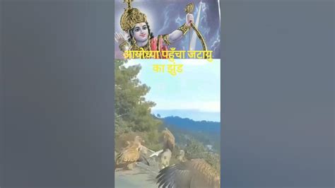 जटायु का झुंड पहुँचा आयोध्या श्री राम जी के स्वागत में 🙏जय श्री राम🙏 Ram Aayodhya Shorts