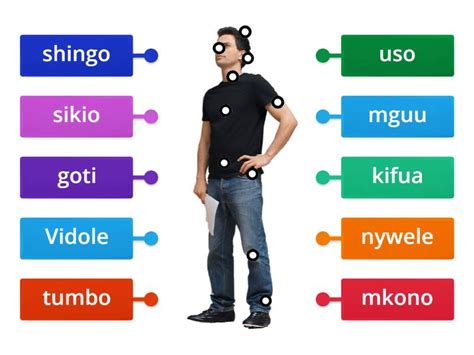 Sehemu Za Mwili Labelled Diagram