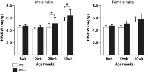 3 Hwbw Of Wt And Mhc 403 Tta Mice 6 To 40 Weeks Of Age Notes As For