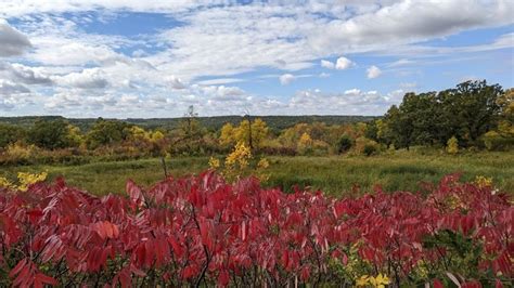 Pembina Gorge Is The Best Spot For Fall Colors In North Dakota