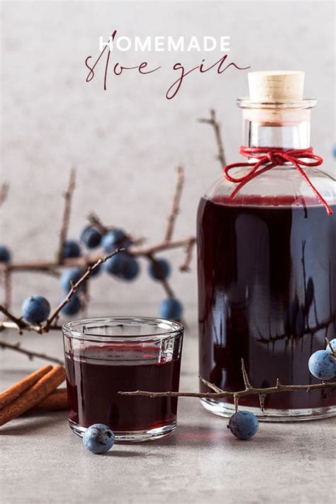 How To Make Sloe Gin A Quick And Easy Recipe For This Delicious