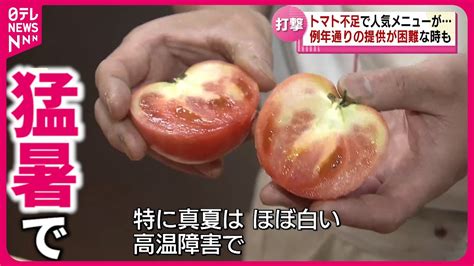 【ピンチ】夏の猛暑でトマトが 高温障害で農家＆飲食店に影響 新潟 Nnnセレクション Youtube