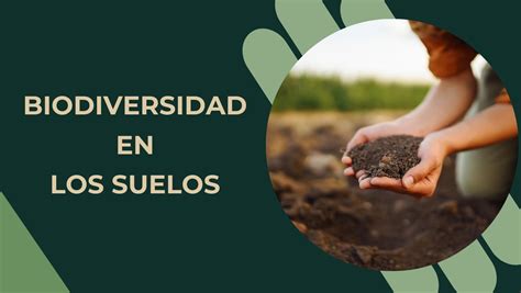 ¡el Suelo También Alberga Vida Conoce Su Biodiversidad Secretaría De Agricultura Y Desarrollo