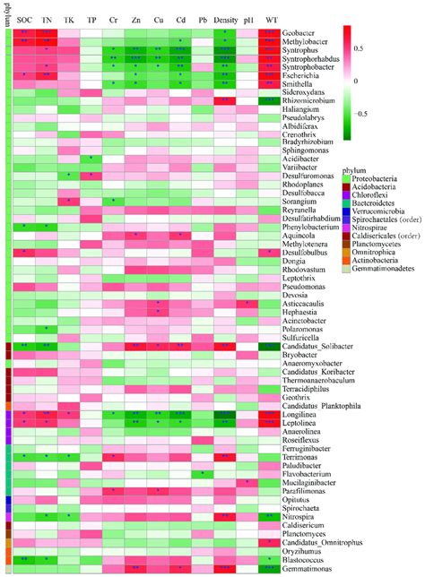 Pearson Correlation Heat Map With Correlation Coefficient And