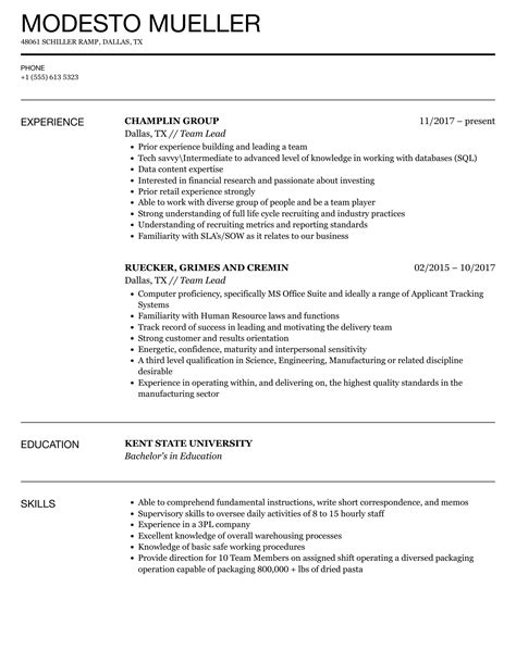 Team Lead Resume Samples Velvet Jobs