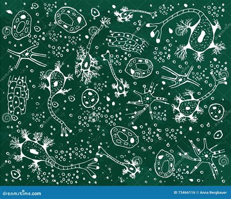 Dendrite Biological Anatomy Vector Illustration Diagram With Nerve Cell