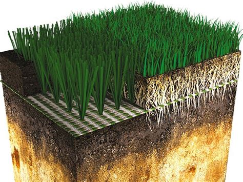 Tipos de superficies de campos de fútbol césped natural césped