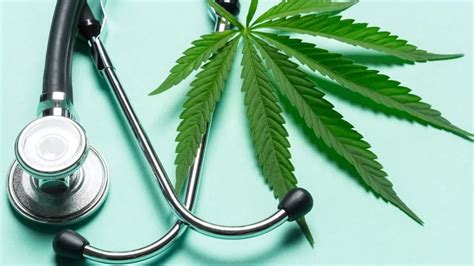 Diplomado Industrialización Y Comercialización Del Cannabis Medicinal