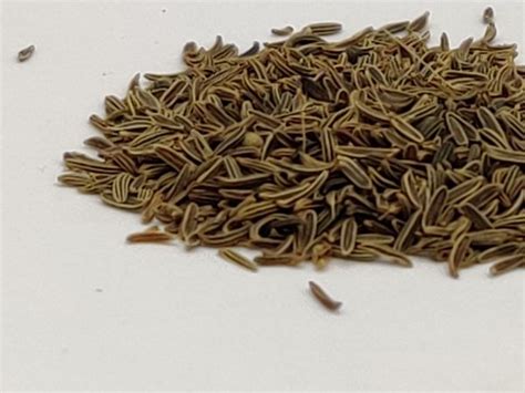 Shahi Jeera Black Cumin Seeds Imperial Cumin Seeds Bunium