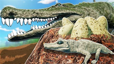 ENCONTREI UM NINHO ABANDONADO E ADOTEI O FILHOTE DEINOSUCHUS ORFÃO