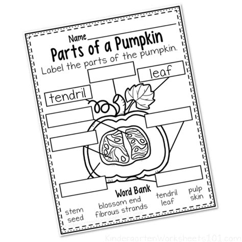 Parts Of A Pumpkin Worksheet Kindergarten Worksheets 101