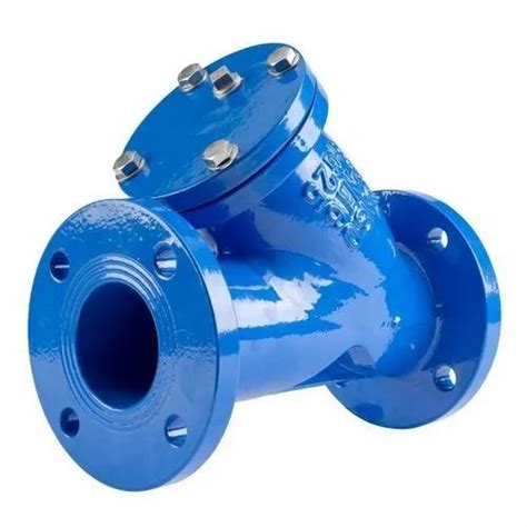 Cast Iron Ci Y Strainer Flange End For Industrial Size Inch At Rs