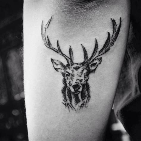 Stag Head Tattoo Head Tattoos Tattoos Maple Leaf Tattoo